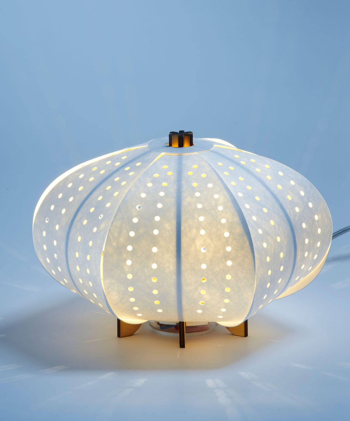 Sea Urchin Light We Design Sea Urchin Light