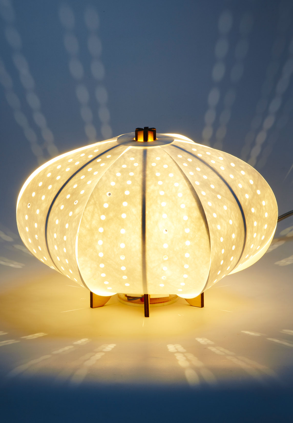 Sea Urchin Light We Design Sea Urchin Light