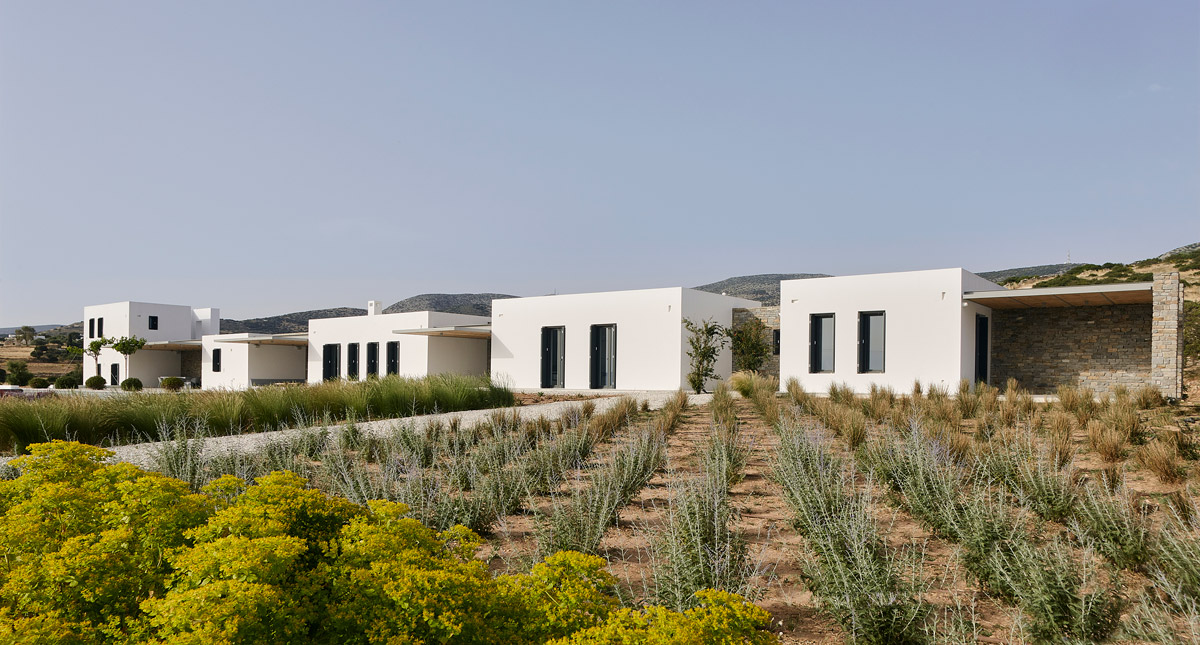 www.wedesign.gr